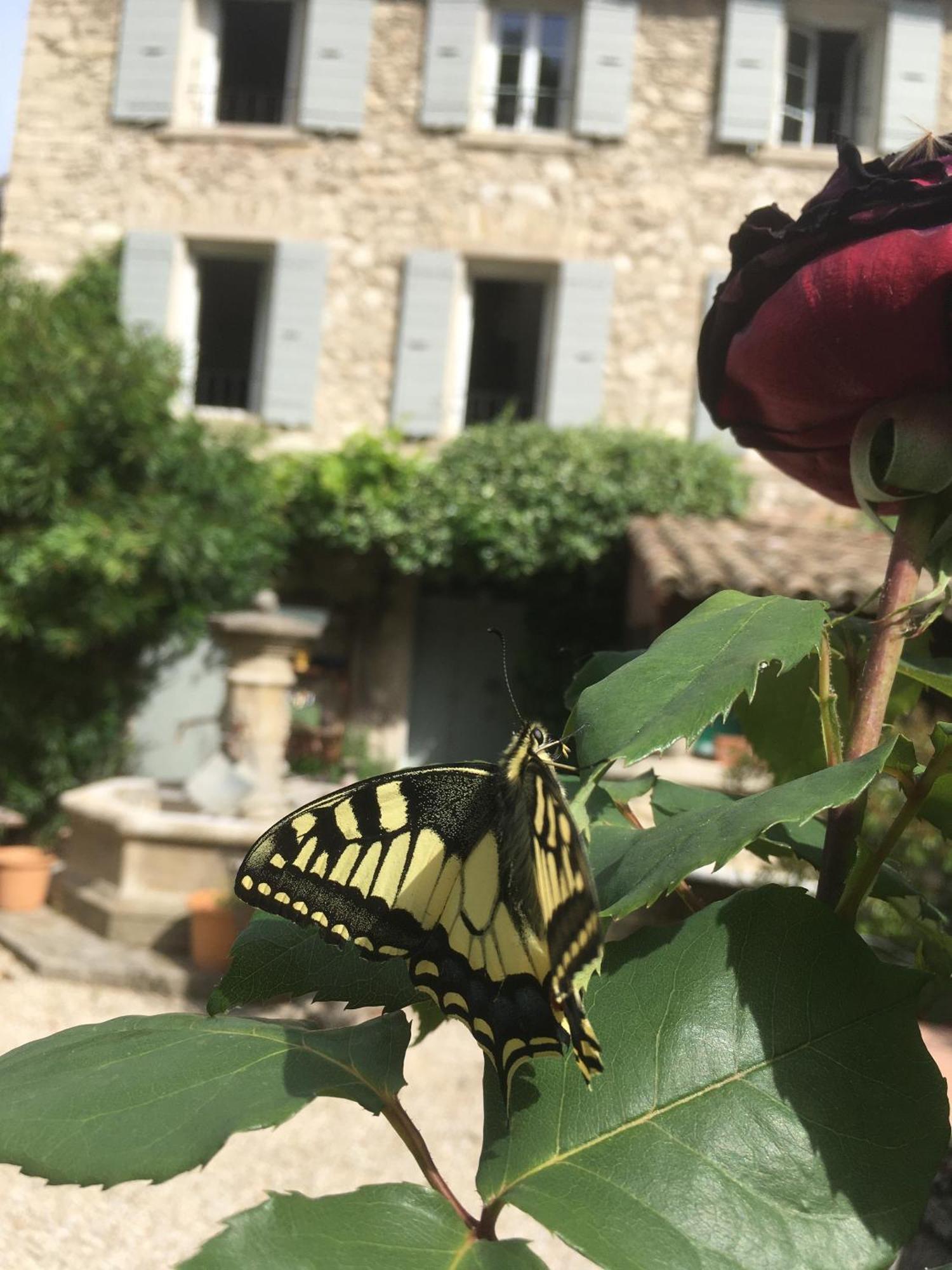La Figuiere Fontaine De Vaucluse Bed and Breakfast Exteriör bild
